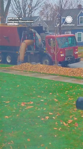 AccuWeather on Instagram: "It's so satisfying to watch this leaf vacuum pick up all these leaves. 🍂🍁"