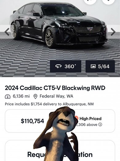 Totally worth it.. #fyp #sister #cadillac #ct5vblackwing #dreamcar | Ct5 V Blackwing