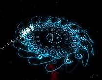 flOw released for the PlayStation Portable?with multiplayer support