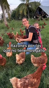 #funny #grasioso | La Anguila