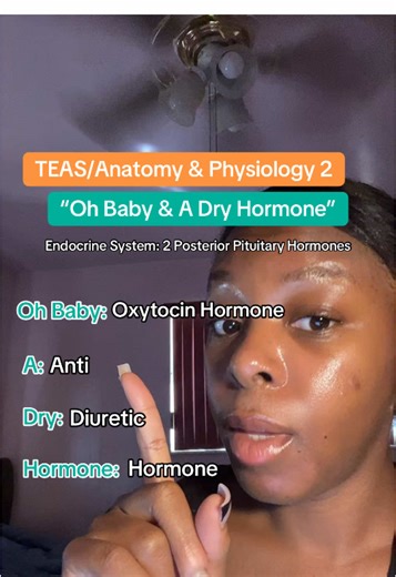 Study this for the endocrine system! TEAS/Anatomy & Physiology 2 Notes! #futurenursesoftiktok #nurseshiftnotes #nursingschoolhacks #anatomyandphysiology #nursetok