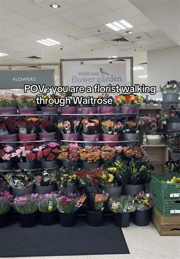 D&B by Asiya ꫂ ၴႅၴ♡ on TikTok