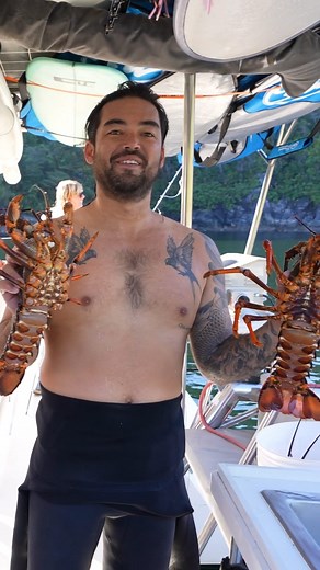44K views · 420 reactions | This is the wildest place we have ever taken the boat. Fiordland, New Zealand was mind blowing - more crayfish than you can imagine, waterfalls crashing down right next to the boat, just us and Mother Nature. We made a film about it over on YouTube. Link in my bio if you want to see for yourself❤️ . . . . #fiordland #milfordsound #doubtfulsound #sailing #newzealand #kiwi #duskysound #paradise #adventure #crayfish | Sailing Parlay Revival | Facebook