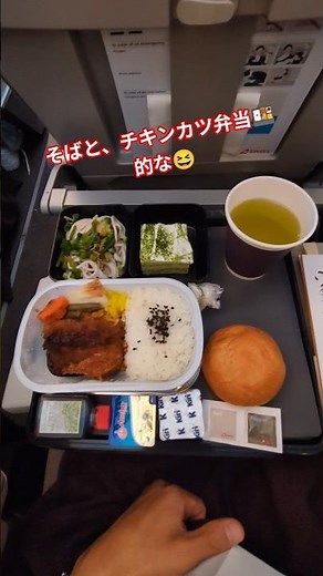 機内食一覧💁🏻‍♂️うまし👻#travel #trip #switzerland #airplane #aircraft #飛行機