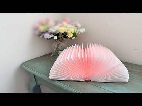 Book Lovers Light Display Great for Libraries Offices Gifts