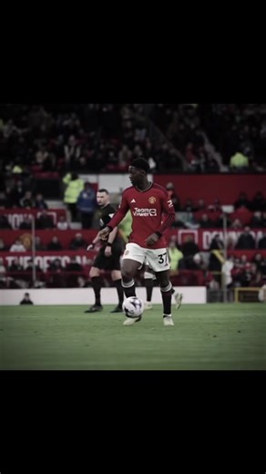 Manchester United vs Brighton: Match Highlights & Edits