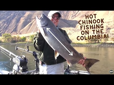 Fall Chinook Fishing on the Hanford Reach Section of the Columbia - Extended Cut