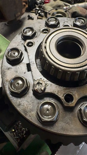 Dls Wojtasm5 on Reels