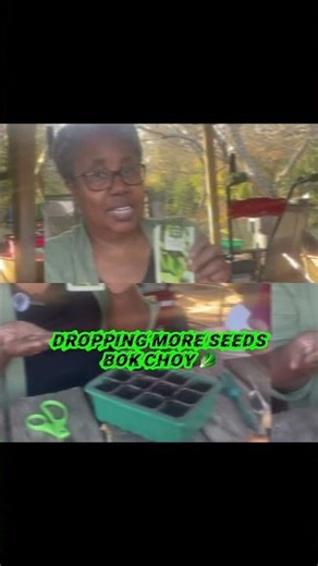 Dropping More Fall Seeds | Zone 8b Gardening