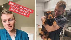 Vet shares the five pet dog breeds he would own
