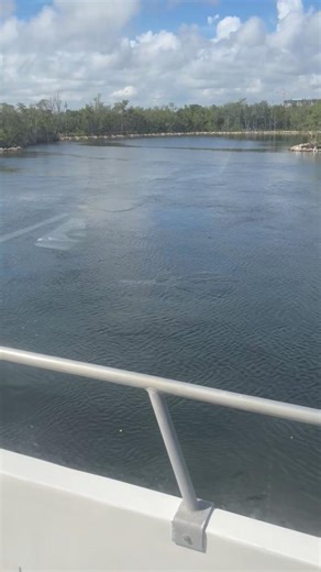 🐬 Sometimes the best part of your Water Taxi ride isn’t the destination, it’s the company along the way! 💙 Our Hollywood Route has been full of surprises lately… including some friendly dolphins cruising right beside us! 🌊 Hop aboard, take in the ocean breeze, and you might just spot a few of our favorite locals showing off next to the boat. 😉 🎟️ Plan your ride today at watertaxi.com/tickets | Fort Lauderdale Water Taxi
