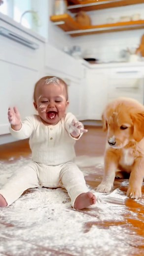 Watch What Happens When This Baby Meets a Puppy! . . #FunnyBaby #CutePuppy #BabyAndDog #ComedyShorts #8KFunny #LOLKids #FunniestMoments #CuteChaos #BabyLaughs #PuppyComedy #HilariousShorts | PUPHY-Creator
