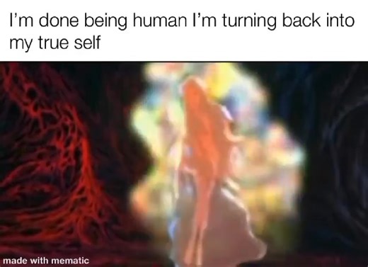 ✨🦄✨🦄✨🦄✨ | The Quantum Realm Institute