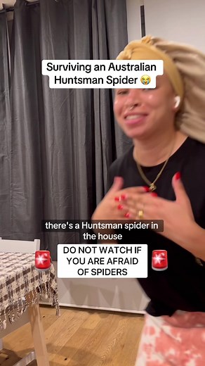 🚨SPIDER ALERT🚨 I survived an Australian Huntsman spider. Sure they aren’t poisonous but my anxiety didn’t care 😭😱