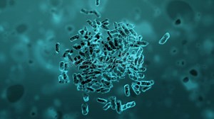 Cloning of Bacteria, Beautiful 3d Animation Stock Video - Video of group, laboratory: 114277579