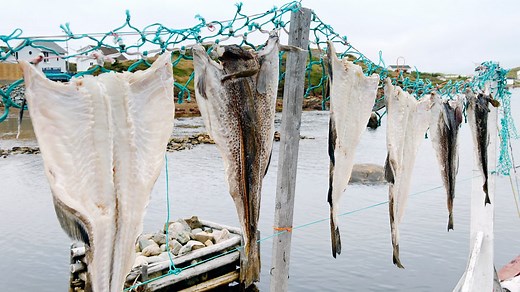 What happens to a fishing community when the fish runs out?