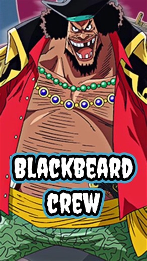 Blackbeard Pirates Crew Members