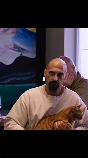 Jack thought the prison was a dark, hostile cage, but he didn't realize the inmates were hiding a secret "status symbol." ⛓️🐾 What these hardened, tattooed men are doing behind bars is absolutely mind-blowing. They aren't fighting over territory anymore—they’re fighting over kittens. Wait until you see the "double shifts" they are working just to buy cat clothes... but there's a catch. If they break ONE rule, the guards take their best friend away forever. Is this genius rehabilitation or a rew