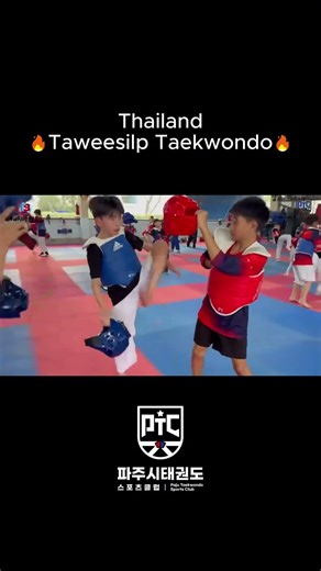 Taweesilp Taekwondo 2 #taekwondo #용인대태비태권도 #파주시태권도스포츠클럽