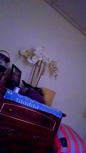 Dios amado gracias por tanto ke me das y yo no merezco nada amen graciassssssss