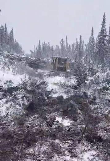 #logging #caterpillar #d8