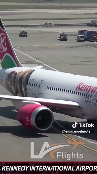 Kenya Airways Painted a Giant Elephant on The Side of the Plane in JFK #ThePrideofAfrica #KenyaAirways #Africa #JFK