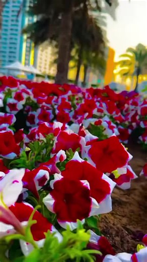 Red Eyes: The Allure of Unique Eye Colors