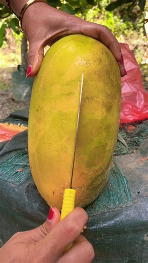 Peel Papaya California #papaya