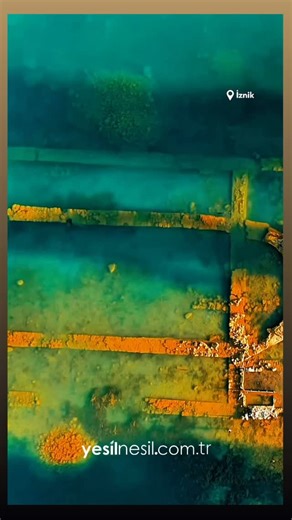 YEŞİL NESİL on Instagram: "⭐ Ramazan Bayramında Bursadayız… ❤️Hayatın harika olan yanı yaşadığın Maceralardır. En harika olanlar ise sevdiklerinle yaşanan maceralar…🧿 👨‍👨‍👧‍👧 “Çocuklarla Tatilin En Keyiflisi”Yeşil Nesil’in Tüm etkinlikleri Konaklama tarihleri , Saatlik program akışı, fiyata dahil hizmetler, ekstra hizmetler ve tüm detaylar web sitemizde. www.yesilnesil.com.tr ☎️ Detaylı bilgi için bizi arayınız. 📞 0 533 308 30 15 📞 0 533 256 26 50 #yesilnesilatolyeleri #kidslandpark #ç