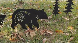 Watch Bear Metal Stake on Amazon Live