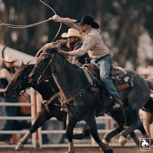604K views · 8.9K reactions | The reigning world champs Colby Lovell and Paul Eaves showed up and showed out at the ProRodeo Tour Finale at the California Rodeo Salinas, winning the team roping with an 11.6-second run. | PRCA ProRodeo | Facebook
