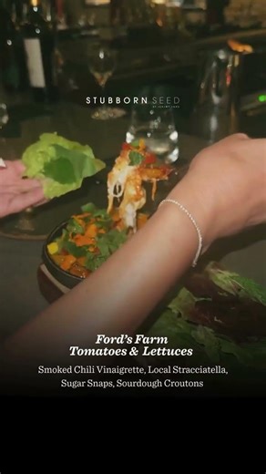 Top Miami Restaurants | Best Coconut Grove Dining Experience