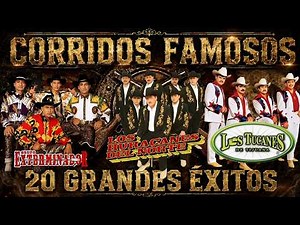 Narco Corridos Mix 🔥 Los Tucanes, Huracanes y Exterminador | Que Nunca Fallan (LETRA)