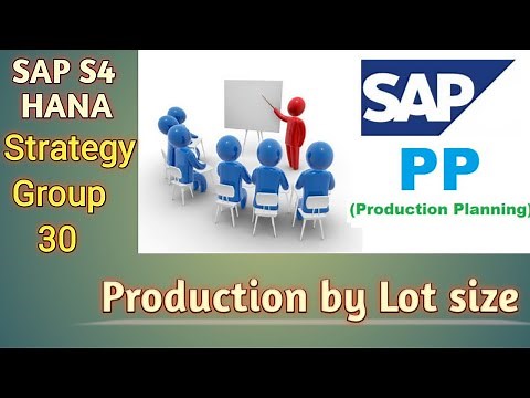 SAP PP Strategy Group 30 Production by Lot Size