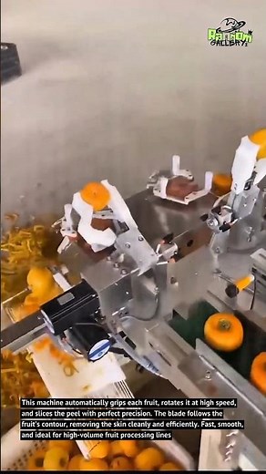 Automatic Fruit Peeling Machine – Ultra Fast Precision Peeler!