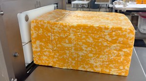 This is our Colby Jack cheese being cut! Don't forget that Colby Jack is on sale for $0.50 OFF per pound for the rest of September! Swing by the store and pick some up! | Dimock Dairy