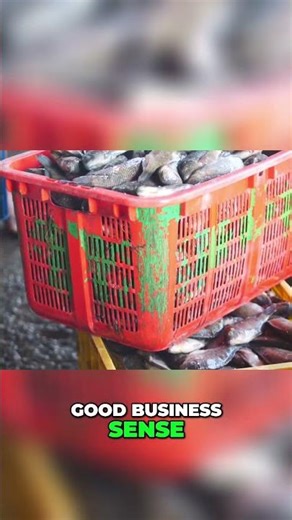 IMTA Systems: Profitable Fish Farming with Seaweed & Shellfish