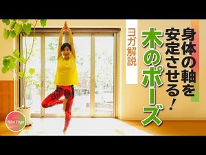 【ポイントとコツ教えます】木のポーズのバランス取りづらい方・初心者さん必見！！これで身体の軸が安定！