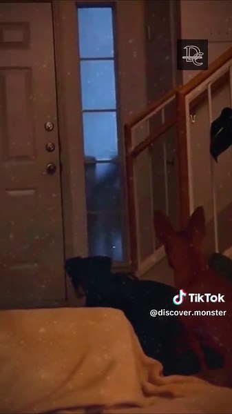 Discovering Real Monsters: The Ghost Encounter