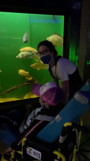 Hoy nos visitaron los pequeñitos del CRIT Michoacán, quienes nos hicieron pasar momentos mágicos. ¡Muchas gracias por su visita!@CRIT Michoacán💜💛 | Zoológico de Morelia