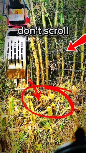 This Bamboo-Cutting Machine Changed Farming Forever