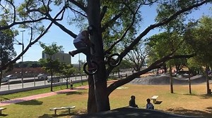 @doguetebmx tailwhip no Hip #dreambmx #bmx | Dream BMX