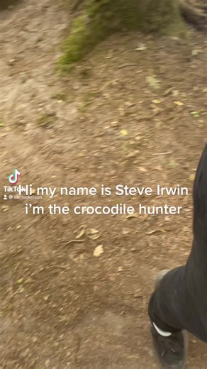 Exploring Crocodiles and Ravens at Outdoor Festival