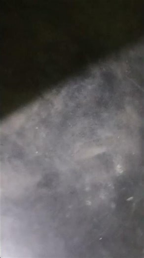 19 April 2026
