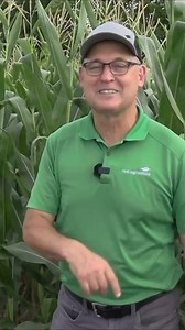 7.3K views | Soil testing: Are you doing it right? Turns out, a cheap shovel and a rush job can throw off everything. "Take your time, do them right."! For the full list of what to do and what not to do, visit RealAgriculture.com and watch the Corn School!#SoilTesting #Agriculture #FarmingTips #AgTech #Crops | RealAgriculture | Facebook