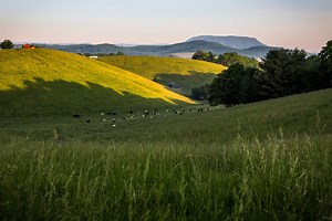 Best Weekend Getaways in Virginia, According to Locals