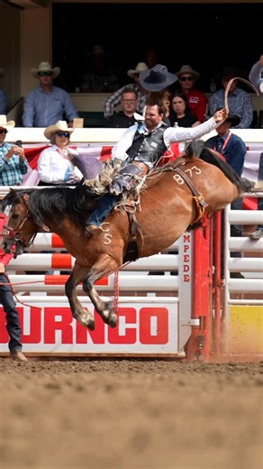 Calgary Stampede Rodeo on Instagram: "Blasting Sand ⚡️ Another standout Calgary Stampede bucking horse on the way to the @lasvegasnfr. And Dean Thompson’s ride? Absolutely one for the highlight reel. 🎉 #borntobuck #lasvegas #nfr"