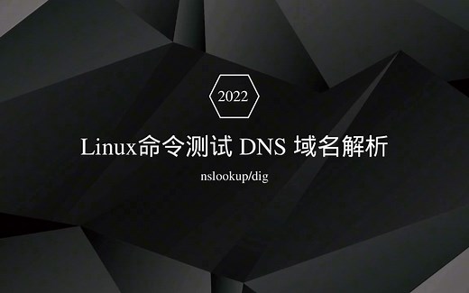 Linux命令之DNS域名解析命令nslookup和dig使用
