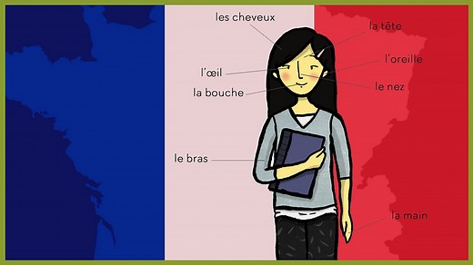 French KS2: 3. Les parties du corps (Parts of the body)