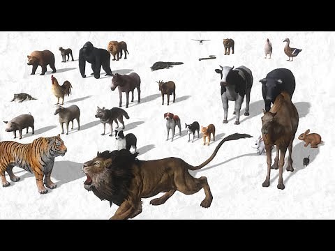 Apprendre les Animaux, sons d'animaux pour les enfants